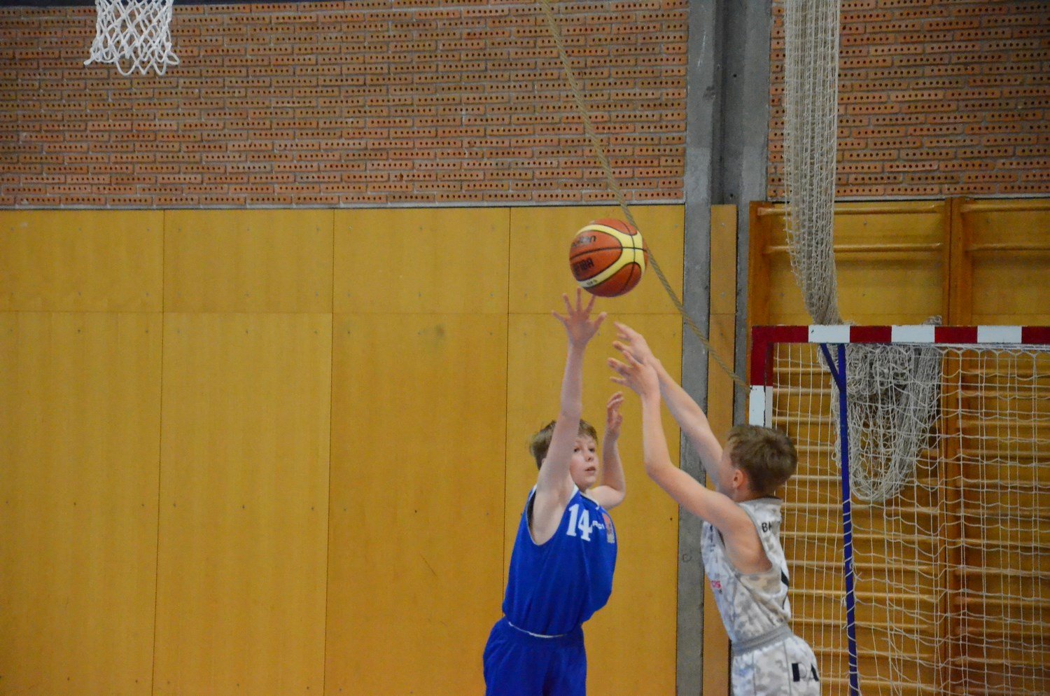 DSC_0029 (Kopírovat)