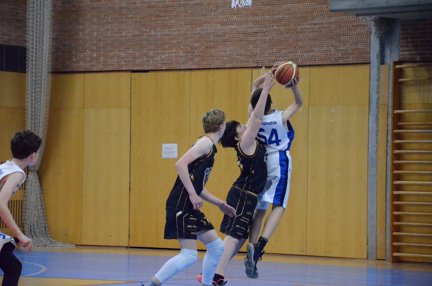 DSC_0023 (Kopírovat)